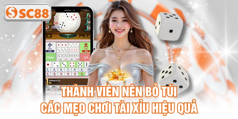 Thành viên nên bỏ túi các mẹo chơi tài xỉu hiệu quả